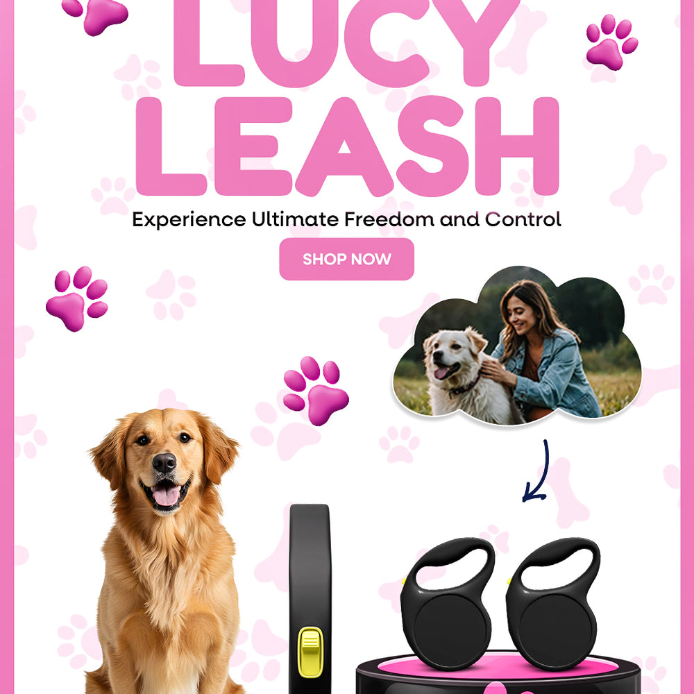 Goofey Lucy Leash