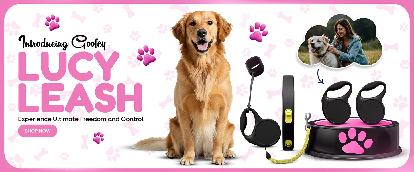 Goofey Lucy Leash