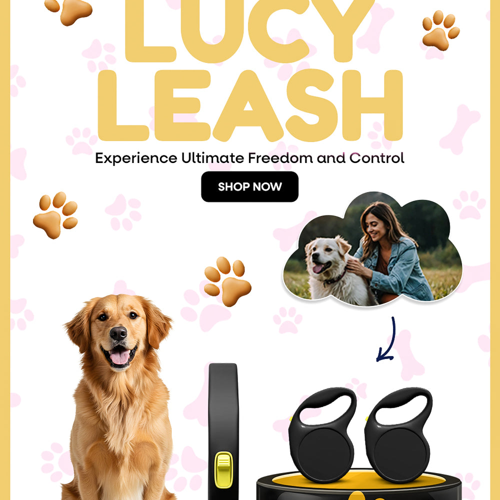 Goofey Lucy Leash